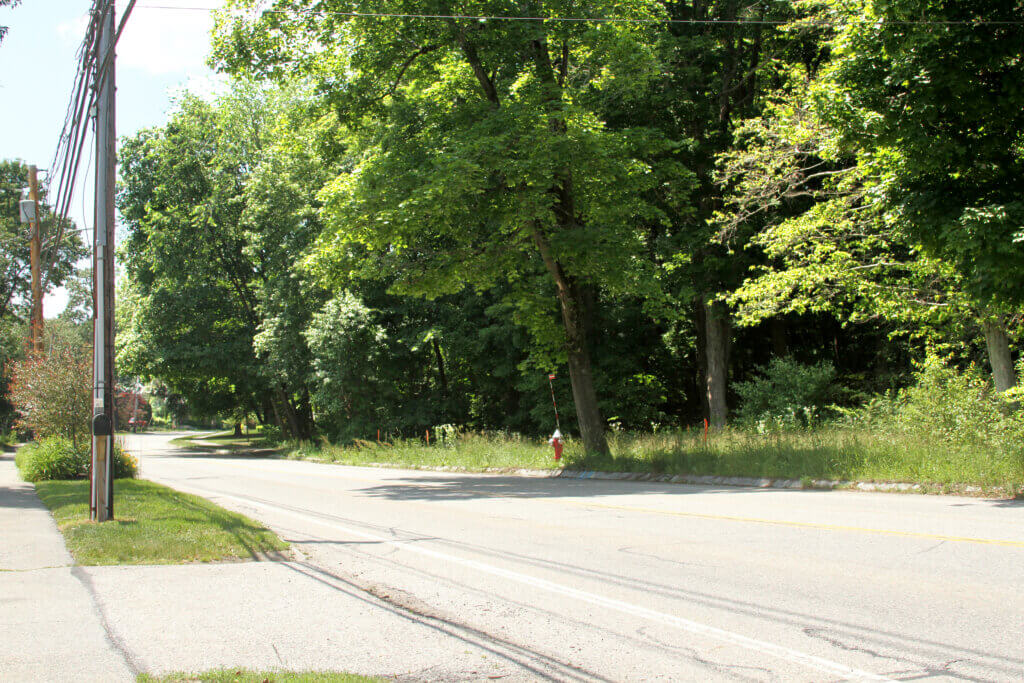 A photo from late June shows thick greenery at the future site of a subdivision off Main Street. Photo: Dakota Antelman/The Acton Bridge
